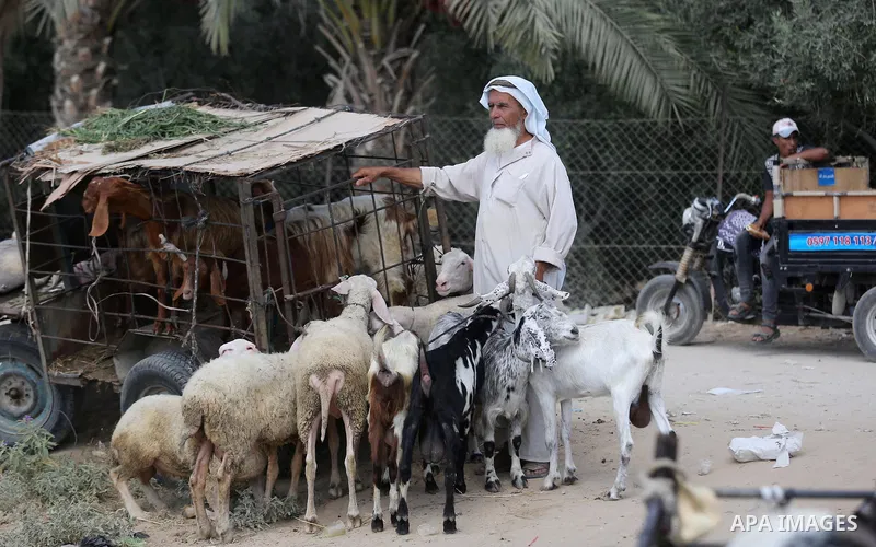Palestinians gather at a live stock market, ahead of Eid al-Adha in Deir al-Balah, in the center of the Gaza Strip on August 14, 2018. Eid al-Adha (the Festival of Sacrifice) is celebrated throughout the Muslim world as...