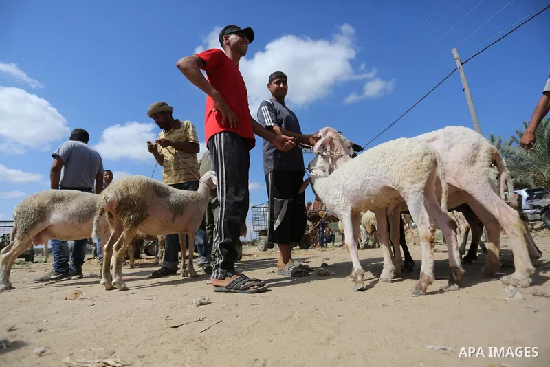 Palestinians gather at a live stock market, ahead of Eid al-Adha in Deir al-Balah, in the center of the Gaza Strip on August 14, 2018. Eid al-Adha (the Festival of Sacrifice) is celebrated throughout the Muslim world as...