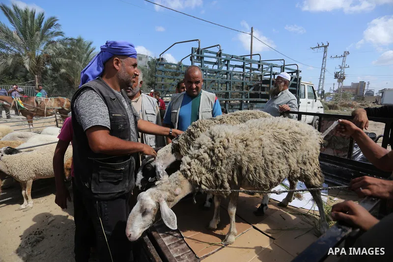 Palestinians gather at a live stock market, ahead of Eid al-Adha in Deir al-Balah, in the center of the Gaza Strip on August 14, 2018. Eid al-Adha (the Festival of Sacrifice) is celebrated throughout the Muslim world as...