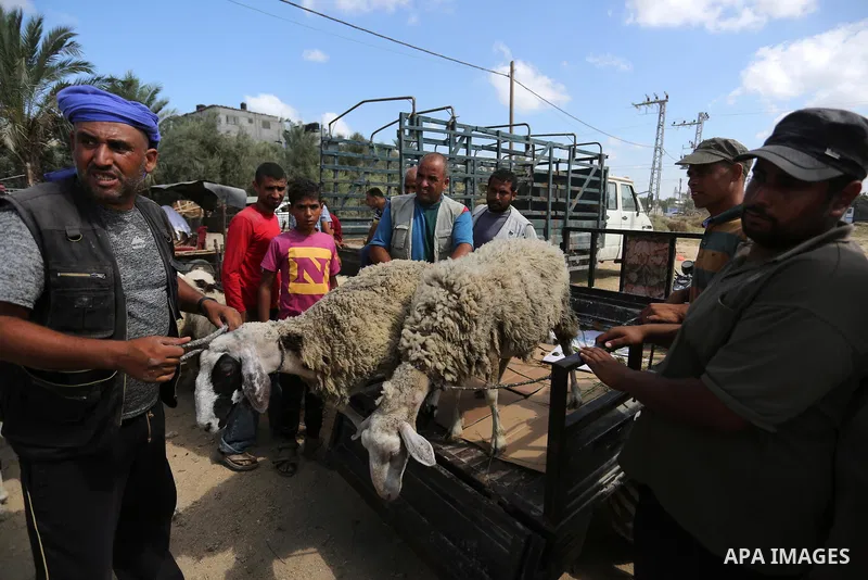 Palestinians gather at a live stock market, ahead of Eid al-Adha in Deir al-Balah, in the center of the Gaza Strip on August 14, 2018. Eid al-Adha (the Festival of Sacrifice) is celebrated throughout the Muslim world as...