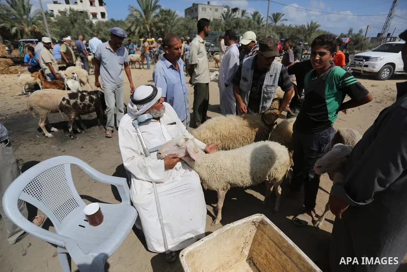 Palestinians gather at a live stock market, ahead of Eid al-Adha in Deir al-Balah, in the center of the Gaza Strip on August 14, 2018. Eid al-Adha (the Festival of Sacrifice) is celebrated throughout the Muslim world as...