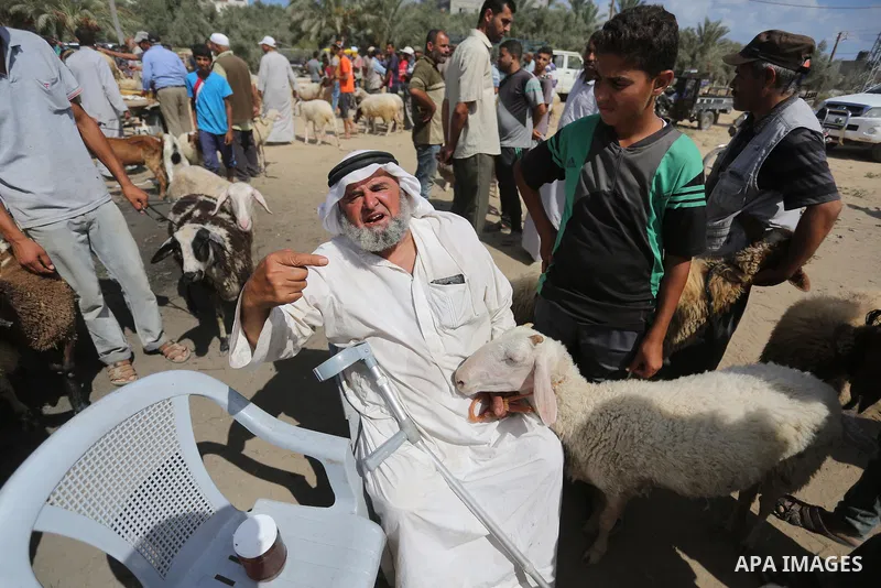 Palestinians gather at a live stock market, ahead of Eid al-Adha in Deir al-Balah, in the center of the Gaza Strip on August 14, 2018. Eid al-Adha (the Festival of Sacrifice) is celebrated throughout the Muslim world as...
