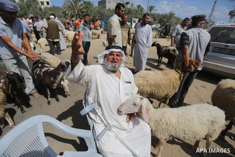 Palestinians gather at a live stock market, ahead of Eid al-Adha in Deir al-Balah, in the center of the Gaza Strip on August 14, 2018. Eid al-Adha (the Festival of Sacrifice) is celebrated throughout the Muslim world as...