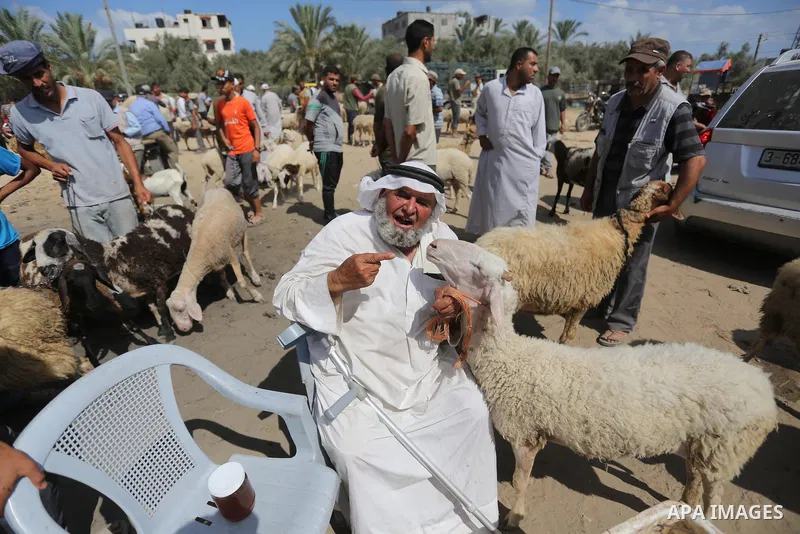 Palestinians gather at a live stock market, ahead of Eid al-Adha in Deir al-Balah, in the center of the Gaza Strip on August 14, 2018. Eid al-Adha (the Festival of Sacrifice) is celebrated throughout the Muslim world as...