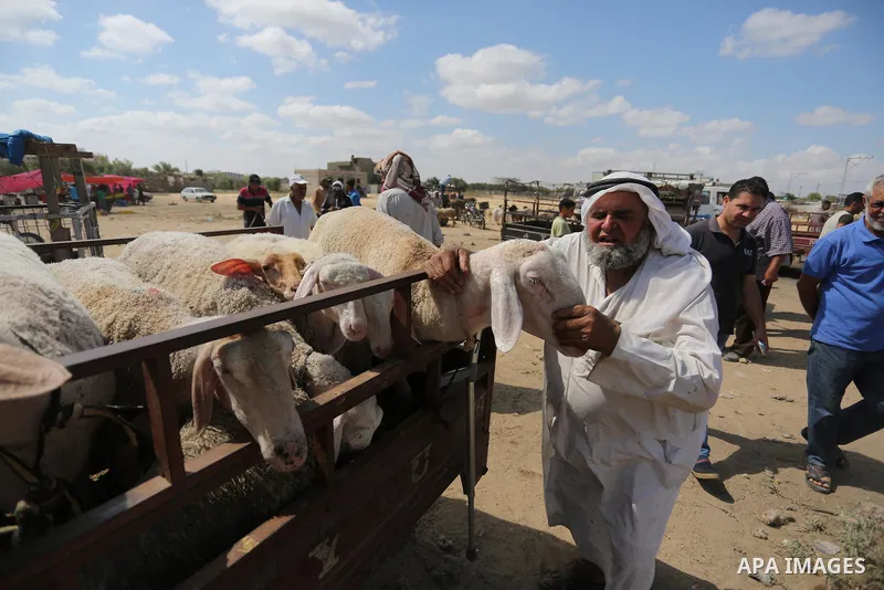 Palestinians gather at a live stock market, ahead of Eid al-Adha in Deir al-Balah, in the center of the Gaza Strip on August 14, 2018. Eid al-Adha (the Festival of Sacrifice) is celebrated throughout the Muslim world as...