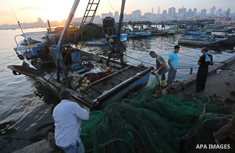 Palestinian fishermen collect fish for sale, at Gaza seaport, on August 15, 2018. The fishing zone off Gaza's coast was also restored to 17km (nine nautical miles), having been reduced to 6km. Photo by Ashraf Amra