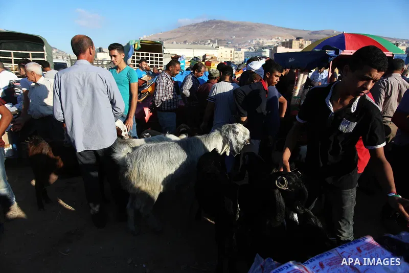Palestinians gather at a live stock market, ahead of Eid al-Adha in the West Bank city of Nablus on August 16, 2018. Eid al-Adha (the Festival of Sacrifice) is celebrated throughout the Muslim world as a commemoration of...