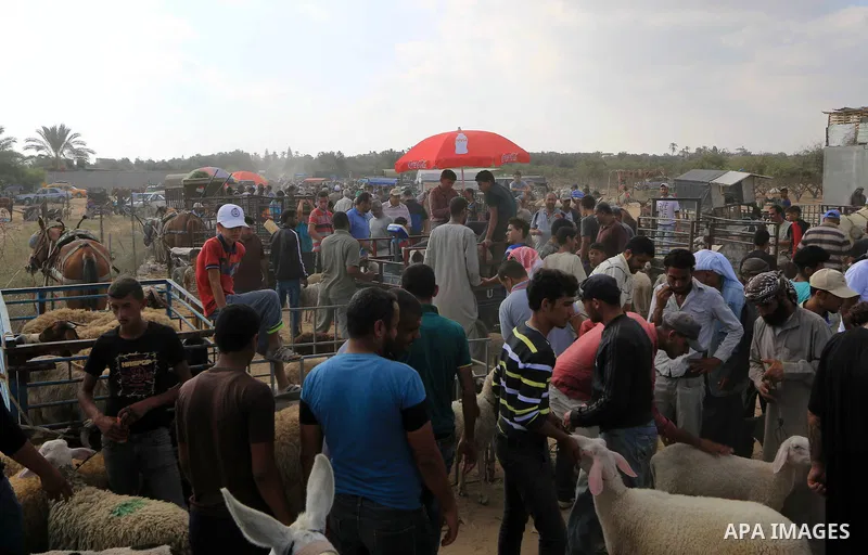 Palestinians gather at a live stock market, ahead of Eid al-Adha, in the center of the Gaza Strip on August 20, 2018. Eid al-Adha (the Festival of Sacrifice) is celebrated throughout the Muslim world as a commemoration o...