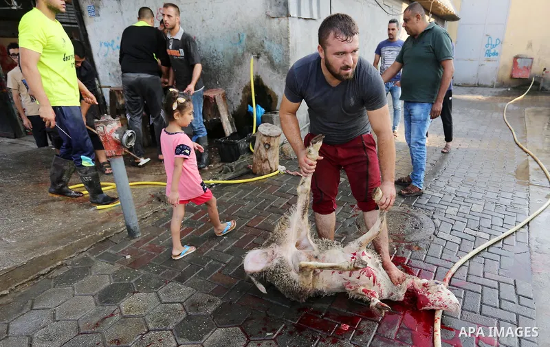 Palestinian Muslims sacrifice livestock as part of the commemoration for the first day of Eid al-Adha or feast of the sacrifice, in Gaza city on August 21, 2018. Muslims around the world are celebrating Eid al-Adha, the...