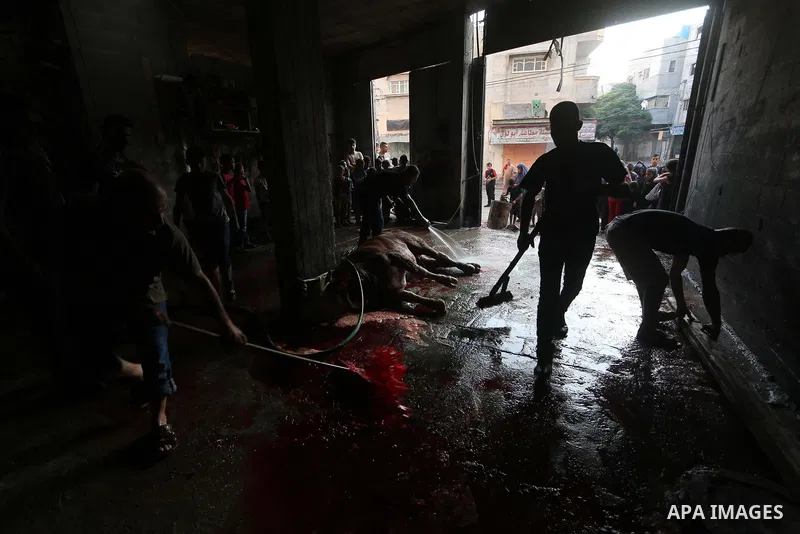 Palestinian Muslims sacrifice livestock as part of the commemoration for the first day of Eid al-Adha or feast of the sacrifice, in al-Bureij refugee camp in the center of Gaza Strip, on August 21, 2018. Muslims around t...