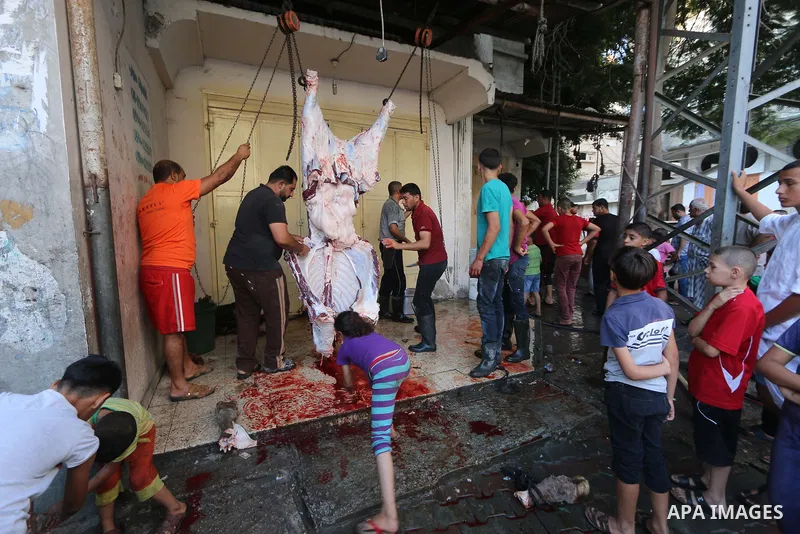 Palestinian Muslims sacrifice livestock as part of the commemoration for the first day of Eid al-Adha or feast of the sacrifice, in al-Bureij refugee camp in the center of Gaza Strip, on August 21, 2018. Muslims around t...