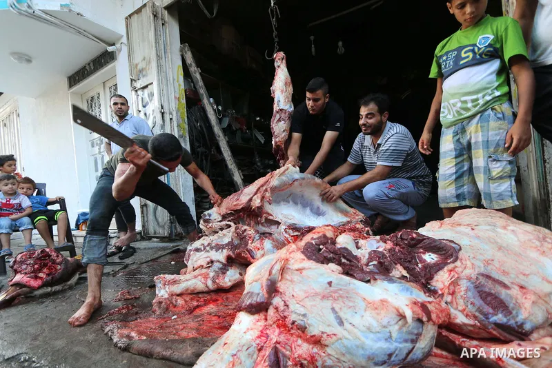 Palestinian Muslims sacrifice livestock as part of the commemoration for the first day of Eid al-Adha or feast of the sacrifice, in al-Bureij refugee camp in the center of Gaza Strip, on August 21, 2018. Muslims around t...