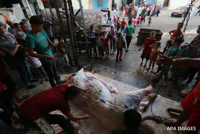 Palestinian Muslims sacrifice livestock as part of the commemoration for the first day of Eid al-Adha or feast of the sacrifice, in al-Bureij refugee camp in the center of Gaza Strip, on August 21, 2018. Muslims around t...