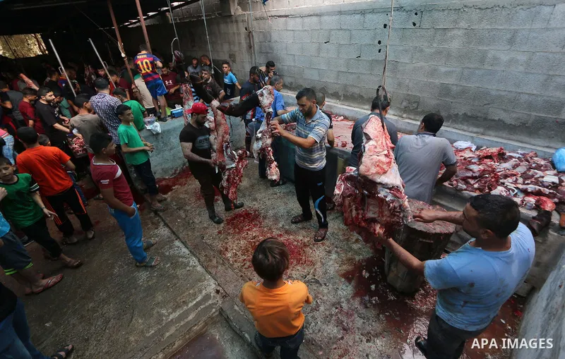 Palestinian Muslims sacrifice livestock as part of the commemoration for the first day of Eid al-Adha or feast of the sacrifice, in al-Bureij refugee camp in the center of Gaza Strip, on August 21, 2018. Muslims around t...
