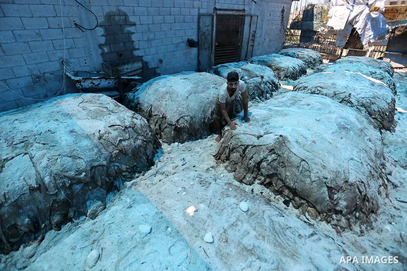 Palestinian workers prepare animal hides to be used for making leather on the second day of Eid al-Adha or the feast of sacrifice, at a tannery in Gaza city on August 22, 2018. Muslims around the world are celebrating Ei...