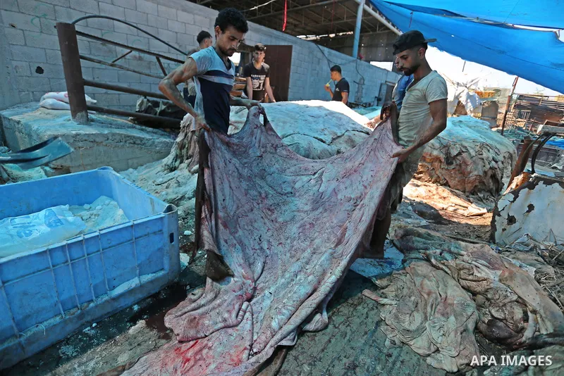 Palestinian workers prepare animal hides to be used for making leather on the second day of Eid al-Adha or the feast of sacrifice, at a tannery in Gaza city on August 22, 2018. Muslims around the world are celebrating Ei...