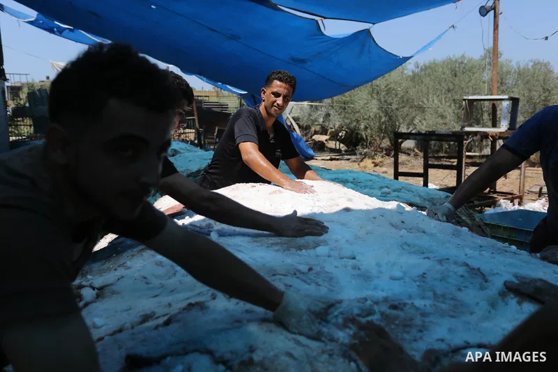 Palestinian workers prepare animal hides to be used for making leather on the second day of Eid al-Adha or the feast of sacrifice, at a tannery in Gaza city on August 22, 2018. Muslims around the world are celebrating Ei...