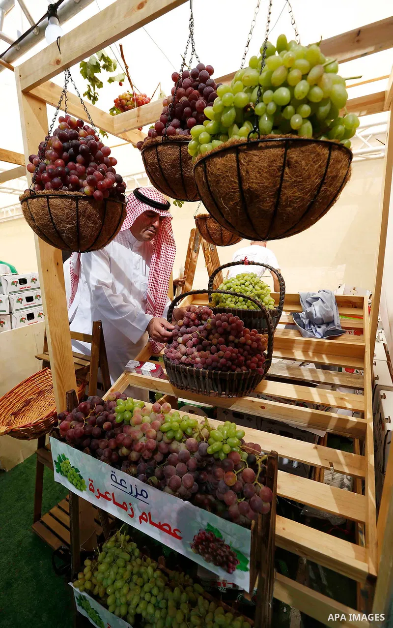 Palestinians display Grapes during the Palestinian grapes festival in Halhoul village, near the West Bank city of Hebron, on September 10, 2018. Hebron is very famous in grape production as it contains many fields of gra...