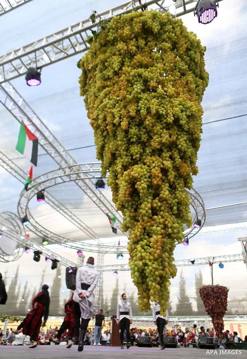 Palestinians attend the Palestinian grapes festival in Halhoul village, near the West Bank city of Hebron, on September 10, 2018. Hebron is very famous in grape production as it contains many fields of grapes, the summer...