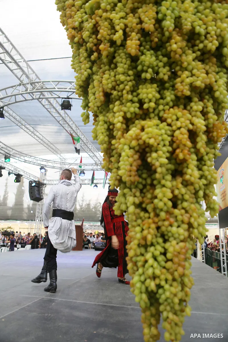 Palestinians attend the Palestinian grapes festival in Halhoul village, near the West Bank city of Hebron, on September 10, 2018. Hebron is very famous in grape production as it contains many fields of grapes, the summer...