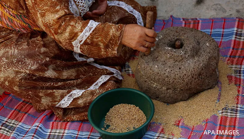 A picture taken on September 22, 2018 shows a Palestinian woman grinds wheat by a stone mill, inside her house, in the village of Jalbun near the West Bank City of Jenin. Photo by Shadi Jarar'ah