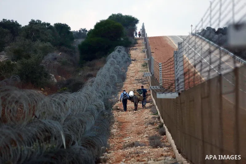 Palestinian farmers make their way to their farms to pick up olives during a harvest season, near the Israeli settlement of Ariel in the occupied West Bank city of Salfit, after Israeli authorities allowed them to harves...
