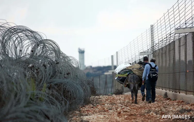 Palestinian farmers make their way to their farms to pick up olives during a harvest season, near the Israeli settlement of Ariel in the occupied West Bank city of Salfit, after Israeli authorities allowed them to harves...