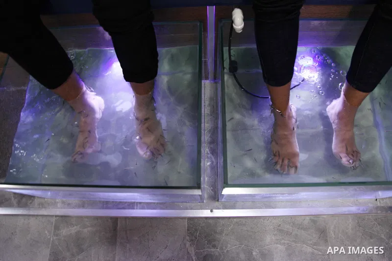 Palestinians get fishes therapy session known as "doctor fish", for the first time in Gaza City on December 23, 2018. These normally vegetarian fish graze on the surface of patients suffering from the skin condition psor...
