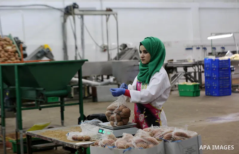 Palestinia laborers work at a frozen potato chips factory, in Beit Hanoun in the northern Gaza Strip, on January 22, 2019. The potatoes have been washed and peeled and are being checked for bruising and rot before packag...
