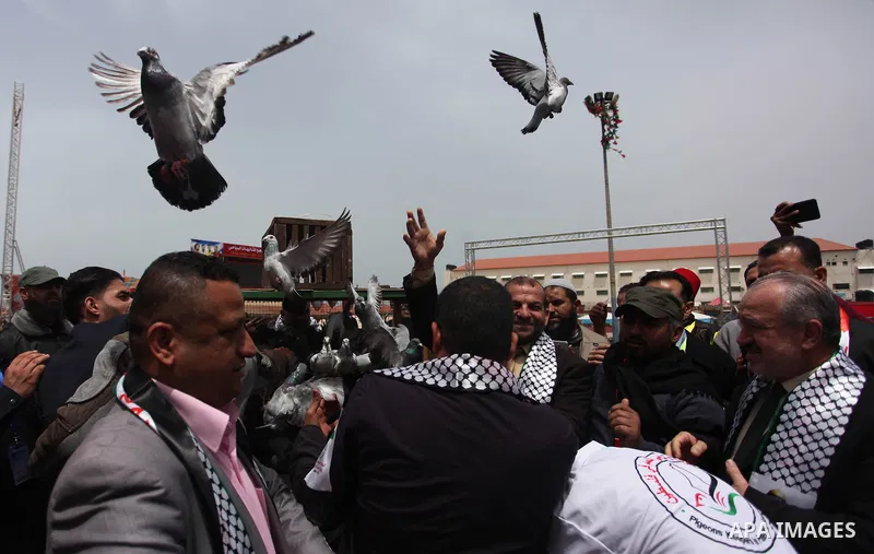 Palestinians display pigeons during an exhibition birds onrganaized by association of pigeons breeders in Palestine, in Gaza City, on April 25, 2019. Photo by Mahmoud Ajjour