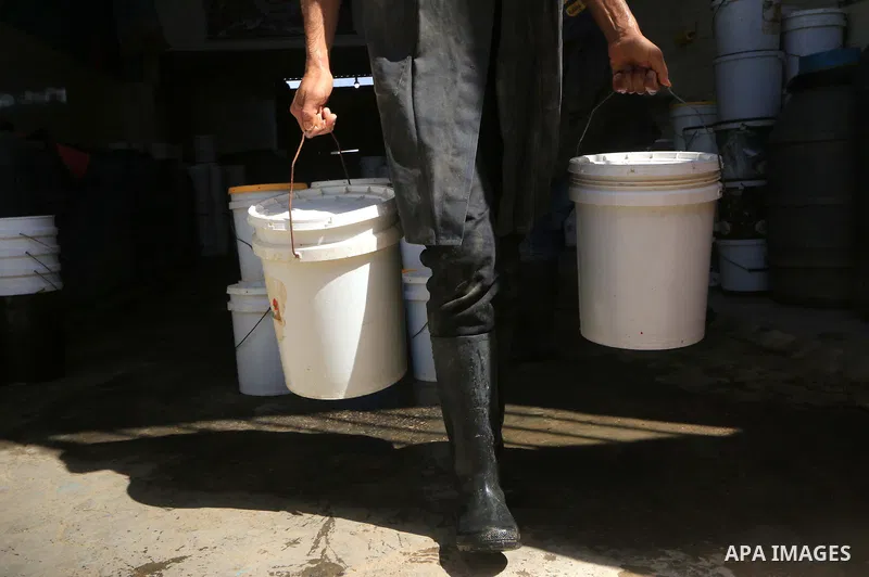 Palestinian workers cheak the pickled vegetables during the Muslims holy month of Ramadan at Pickles Factory in Dair Al Balah in the central of Gaza Strip on May 27, 2019. Photo by Mahmoud Khattab