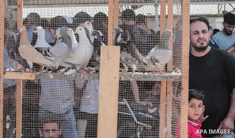 A picture taken on May 30, 2019, shows Palestinian vendors display second hand goods at a public market in Gaza city. Due to the current economic situation in Gaza Strip, many of the Palestinians resort to meet their nee...