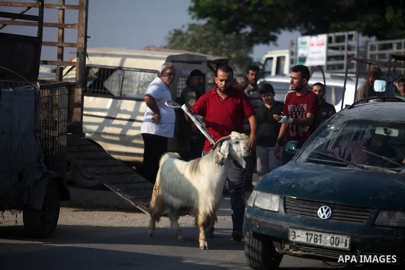 Palestinians gather at a live-stock market, ahead of Eid al-Adha in Gaza city on August 9, 2019. Muslims across the world are preparing for the Eid al-Adha holiday when custom requires the faithful to make a sacrifice. P...
