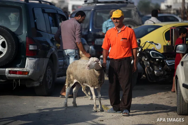Palestinians gather at a live-stock market, ahead of Eid al-Adha in Gaza city on August 9, 2019. Muslims across the world are preparing for the Eid al-Adha holiday when custom requires the faithful to make a sacrifice. P...