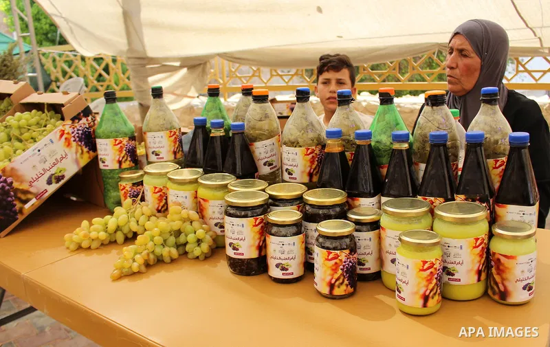 Palestinians display Grapes during the Palestinian grapes festival in the West Bank city of Hebron, on September 14, 2019. Hebron is very famous in grape production as it contains many fields of grapes, the summer is the...