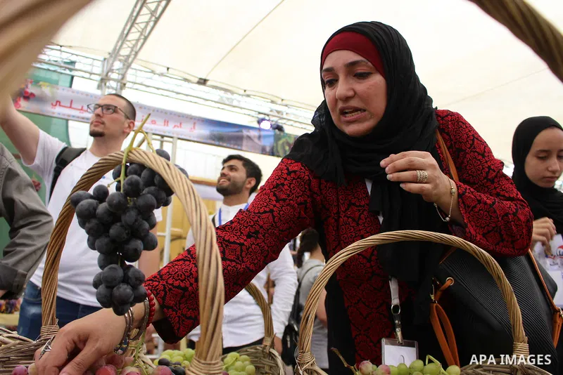 Palestinians display Grapes during the Palestinian grapes festival in the West Bank city of Hebron, on September 14, 2019. Hebron is very famous in grape production as it contains many fields of grapes, the summer is the...