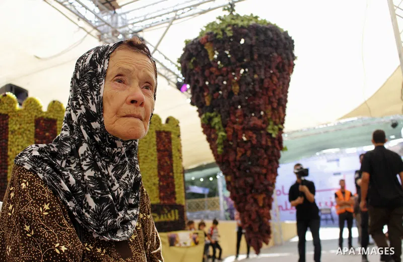 Palestinians display Grapes during the Palestinian grapes festival in the West Bank city of Hebron, on September 14, 2019. Hebron is very famous in grape production as it contains many fields of grapes, the summer is the...