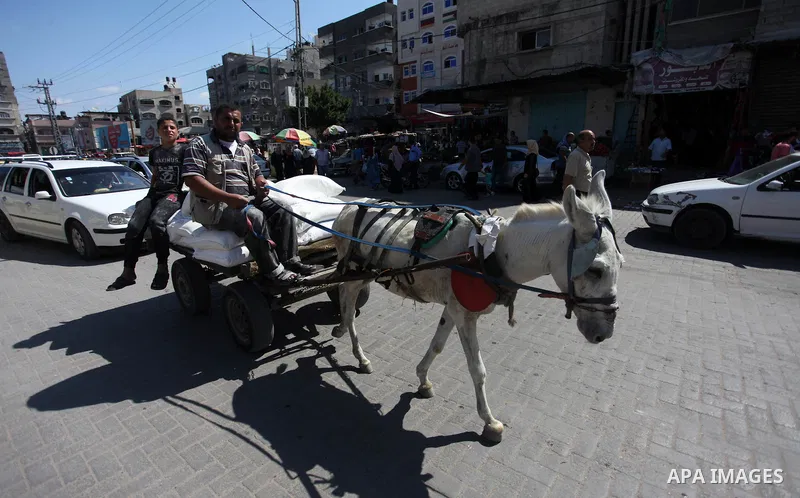 A Palestinian man carries a bag of flour to distribute to families, at an aid distribution centre of the United Nations Relief and Works Agency (UNRWA) in Jabalia in the northern Gaza Strip, on SEP. 21, 2019. Photo by Ma...
