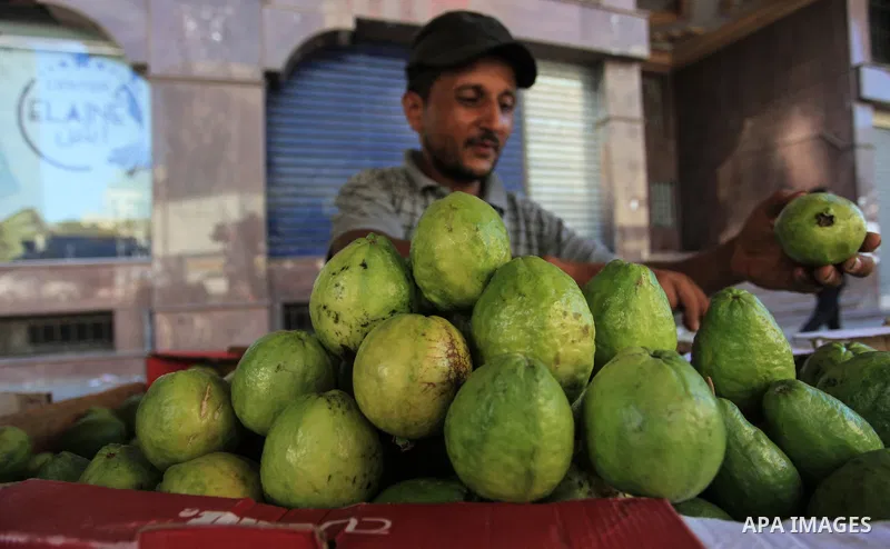 A Palestinian man sells guava fruit in Gaza City on September 25, 2019. Photo by Mahmoud Ajjour