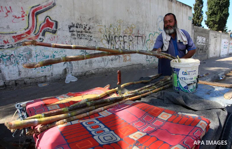 A Palestinian man sells sugar cane to students at a street, in Gaza city, on October 2, 2019. Photo by Mahmoud Ajjour
