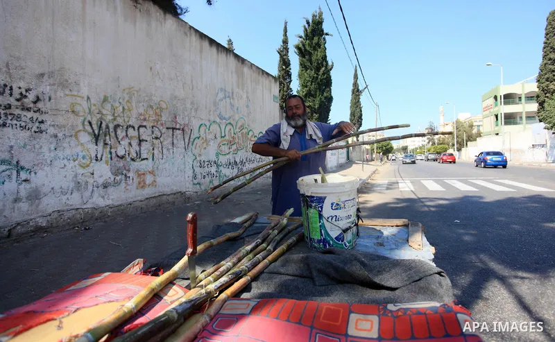 A Palestinian man sells sugar cane to students at a street, in Gaza city, on October 2, 2019. Photo by Mahmoud Ajjour