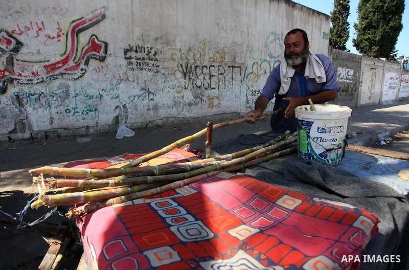 A Palestinian man sells sugar cane to students at a street, in Gaza city, on October 2, 2019. Photo by Mahmoud Ajjour