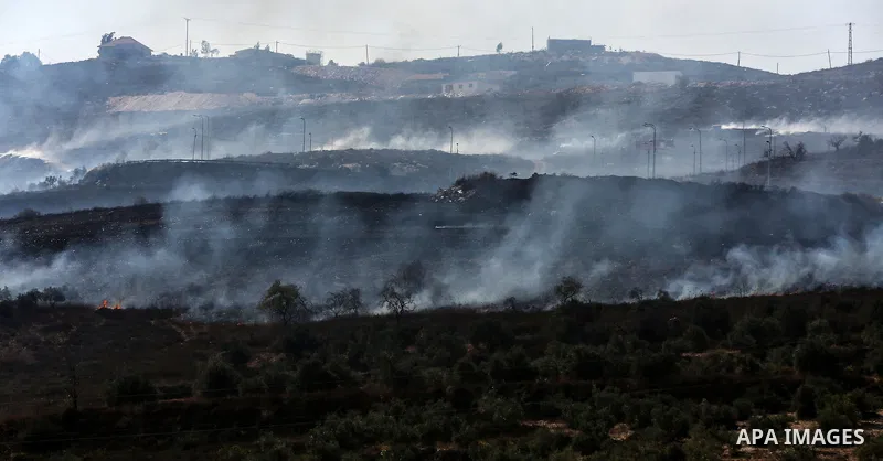 Israeli settlers set fire in an olive grove near the West Bank village of Burin, south of Nablus, on October 16, 2019. Photo by Ayman Nubany\WAFA
