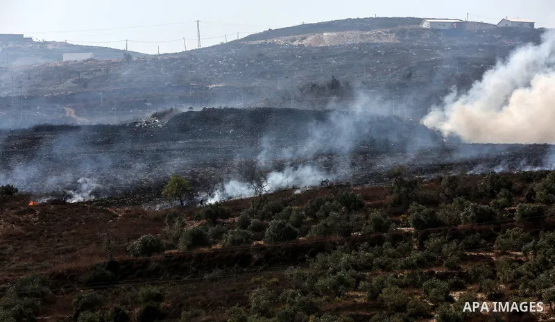 Israeli settlers set fire in an olive grove near the West Bank village of Burin, south of Nablus, on October 16, 2019. Photo by Ayman Nubany\WAFA