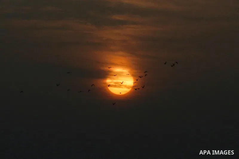 A view of the sunset on the Gaza City, on November 13, 2019. Photo by Ashraf Amra