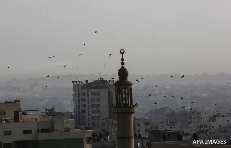 birds are seen flying over Gaza city, on November 13, 2019. Photo by Ashraf Amra
