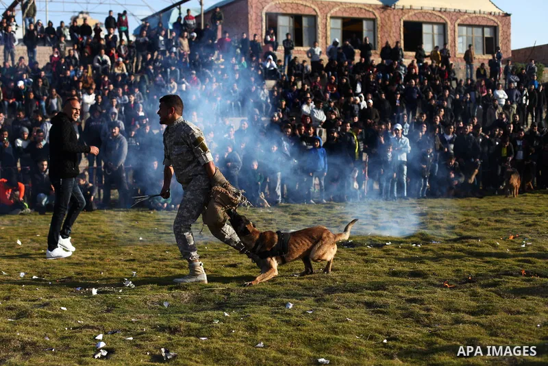 Palestinians watch a dog attack a trainer during the first dog show for the year 2020 organized by local dog breeders,at the beach of Gaza City, on February 7, 2020. Photo by Mahmoud Ajjour