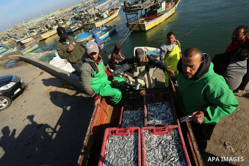 Palestinian fishermen collect fish from their net, at the Gaza seaport, on February 27, 2020. Israel decided to expand the allowed fishing area to 15 nautical miles. Photo by Ashraf Amra
