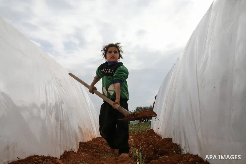 A photo taken on March 12, 2020 shows displaced Syrian girls plant at a makeshift camp in the northern Syrian city of Azaz. Photo by Nayef ALaboud