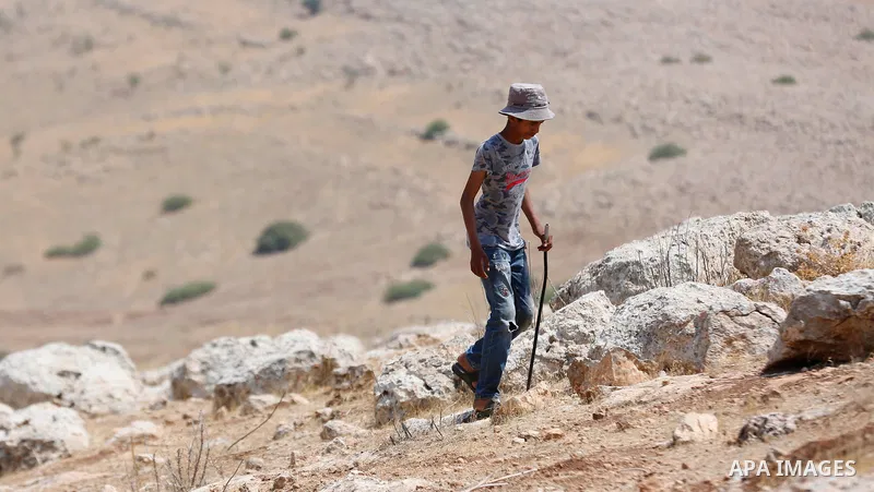 Palestinian child Mohammed Kaabneh,15, grazing sheep near their tents in Khirbet Samra in the northern Jordan Valley, lands threatened with confiscation within Israel's plans to annex parts of the occupied West Bank, on...